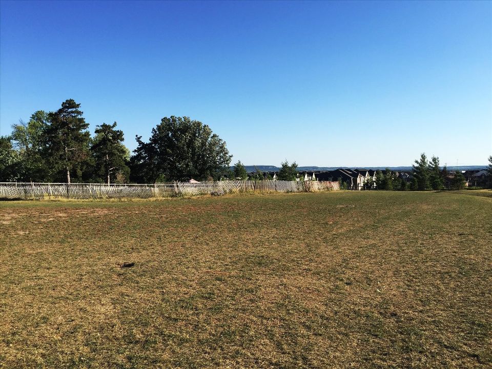 Off-leash Dog Park at Sunny Mount Park