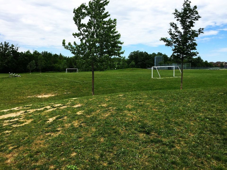 Beaty Neighbourhood Park North