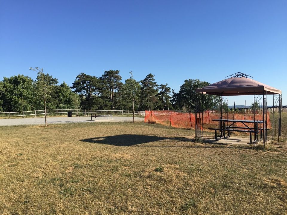 Off-leash Dog Park at Sunny Mount Park